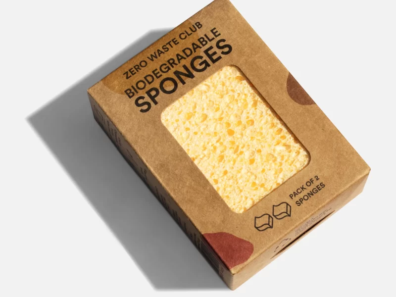 Biodegrable Kitchen Sponge (x2)