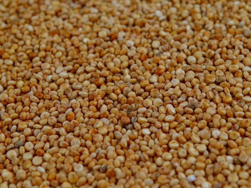 Quinoa Grain - Organic